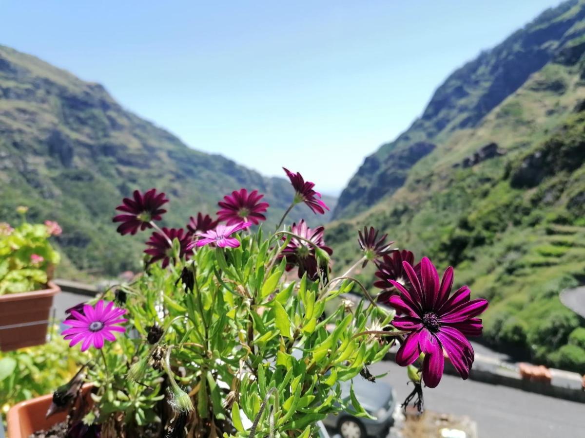 Green Valley House Madeira ริเบรา บราวา ภายนอก รูปภาพ